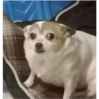 sticker image #20