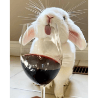 sticker image #11