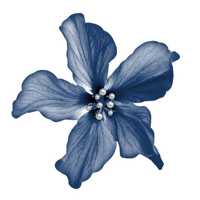sticker image #5