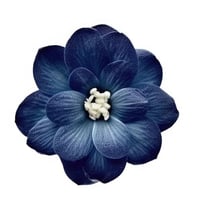 sticker image #7