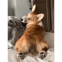 sticker image #10