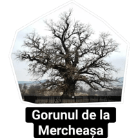 sticker image #2