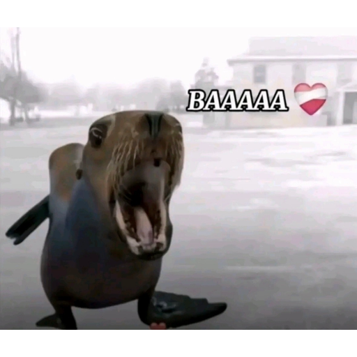 tray_icon #125881 sticker_pack