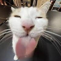 tray_icon