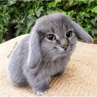 sticker image #11