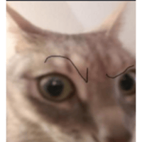 sticker image #2