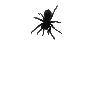 sticker image #4