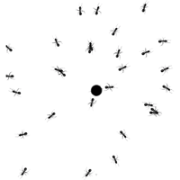 tray_icon