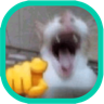 tray_icon