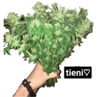 sticker image #25
