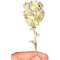 sticker image #26