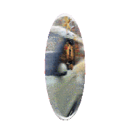 sticker image #1