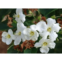 sticker image #10