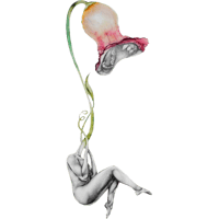 sticker image #3