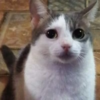 sticker image #18
