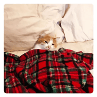 sticker image #22