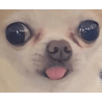 sticker image #23