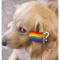 sticker image #14