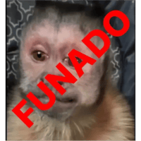 sticker image #16
