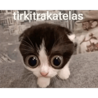 sticker image #26