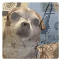 sticker image #30