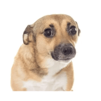 sticker image #22