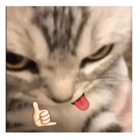 sticker image #23