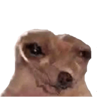 sticker image #24