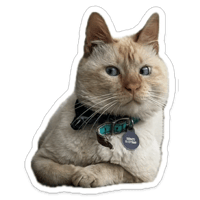 sticker image #4