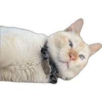 sticker image #6