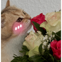 sticker image #12