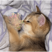 sticker image #13