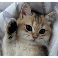 sticker image #17