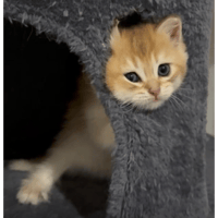 sticker image #18