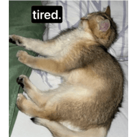 sticker image #22