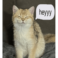 sticker image #23