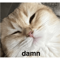 sticker image #24