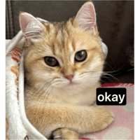 sticker image #25