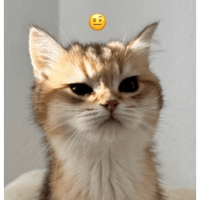 sticker image #26