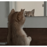 sticker image #27