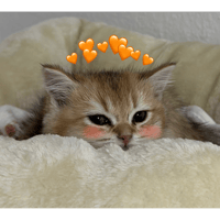 sticker image #28
