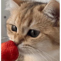 sticker image #30