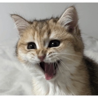 sticker image #4