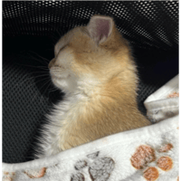 sticker image #5