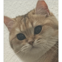 sticker image #7