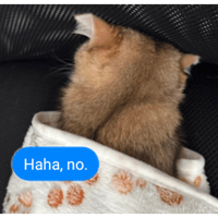 sticker image #8