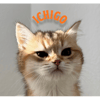 tray_icon #129666 sticker_pack