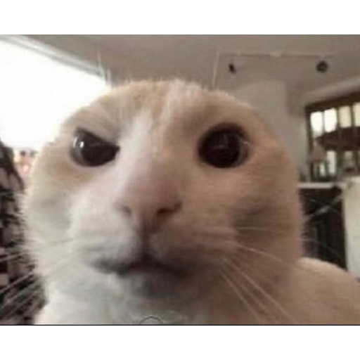 tray_icon #126538 sticker_pack