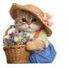 tray_icon