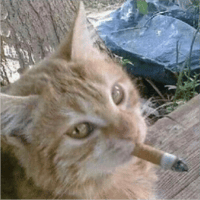 sticker image #21